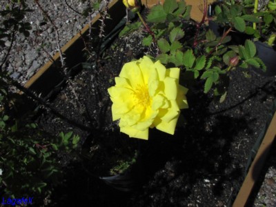 P1010008.JPG
