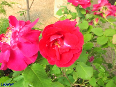 P1010011.JPG