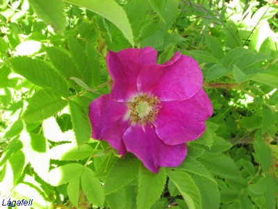 P1010014.JPG