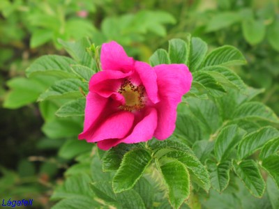 P1010031.JPG